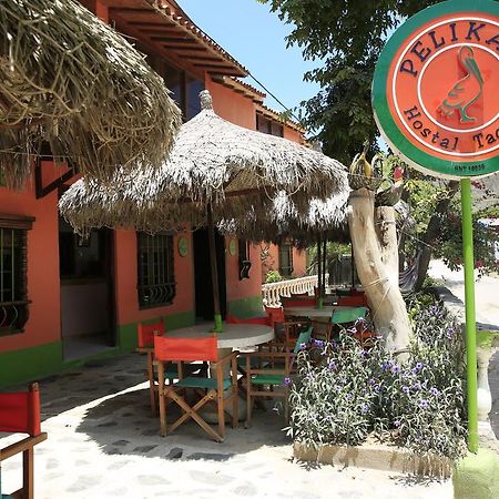 Hostal Pelikan تاجانجا المظهر الخارجي الصورة