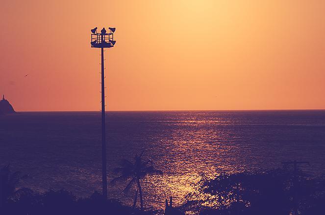 Hostal Pelikan تاجانجا المظهر الخارجي الصورة